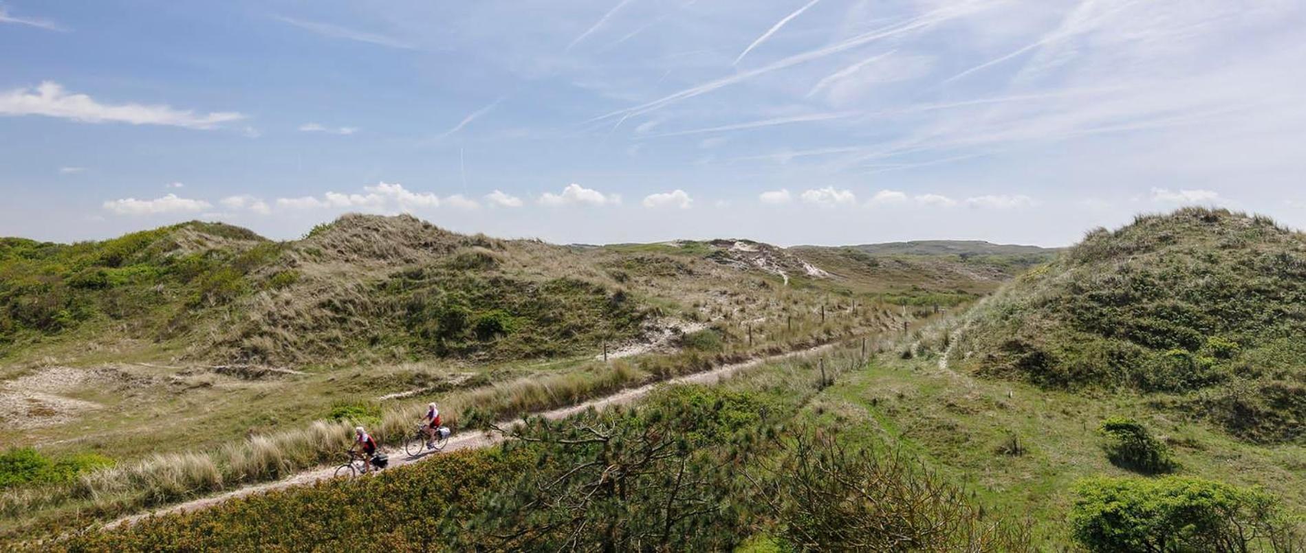 Villa Parnassia Bergen aan Zee Ngoại thất bức ảnh
